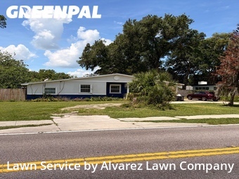 Lawn Mowingin Altamonte Springs,32701,Yard Cutting by Alvarez Lawn Company, work completed in Jul , 2026
