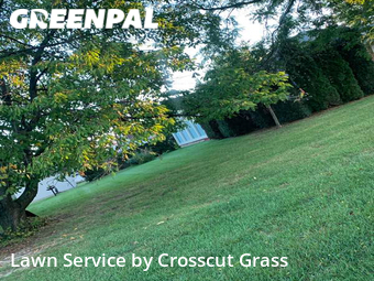 Yard Cutting nearby Clinton Township, MI, 