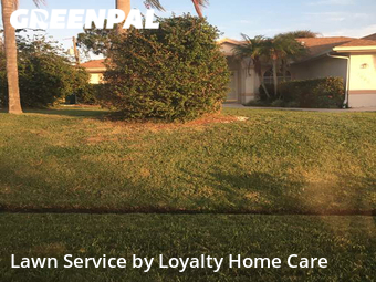 Lawn Cut nearby Port St. Lucie, FL, 