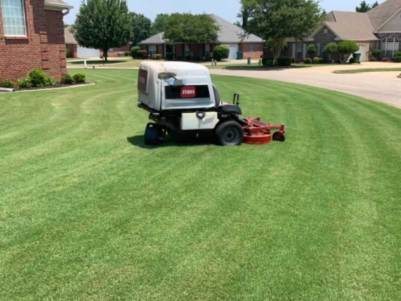 cheap-lawn-cutting-businesses-in-Montgomery-AL