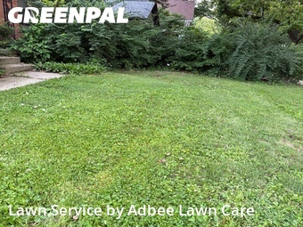 Yard Cutting nearby Urbana, IL, 