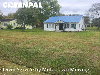 Grass Cutting in Columbia, 38401, Property Maintenance by Mule Town Mowing , work completed in Nov , 2025