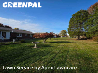 Lawn Servicein Louisville,40220,Lawn Service by Apex Lawncare, work completed in Nov , 2025