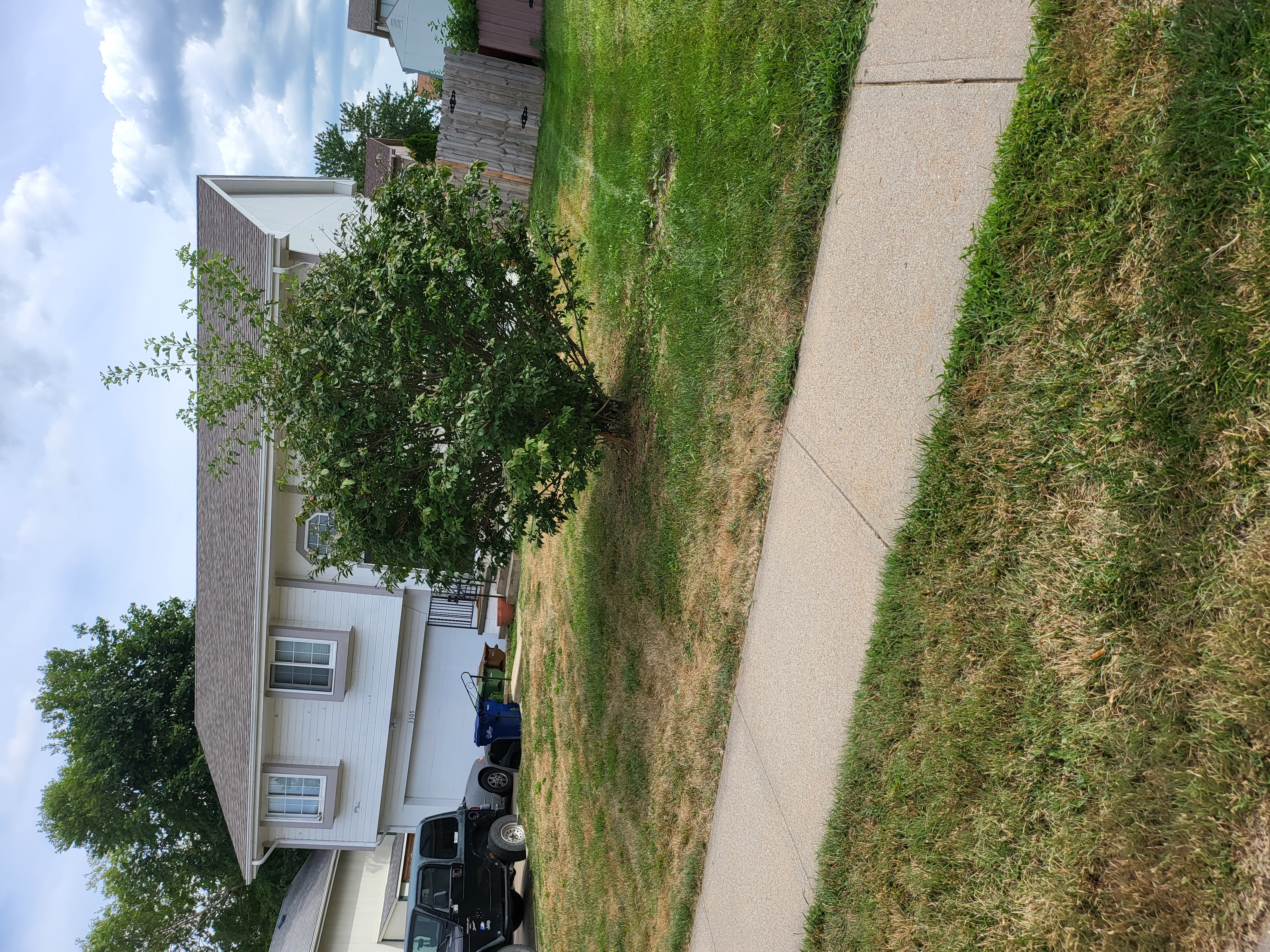 Lawn Mowing Service nearby Bellevue, NE, 