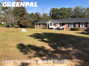 Grass Cut nearby Macon, GA, 