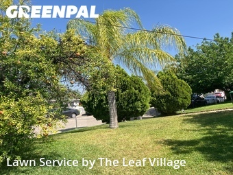 Lawn Care nearby Colton, CA, 