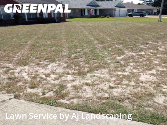 Lawn Services in Navarre, 32566, Grass Cutting by Aj Landscaping, work completed in Oct , 2025