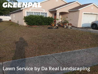 Grass Cut nearby Tampa, FL, 