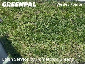 Lawn Maintenance nearby Wesley Chapel, FL, 