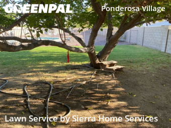 Property Maintenance in Phoenix, 85042, Garden Trimming by Sierra Home Services, work completed in Nov , 2025