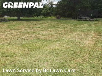 Lawn Mowing Service nearby Raleigh, NC, 