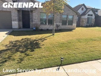Lawn Cutting nearby Lubbock, TX, 