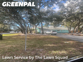 Lawn Service nearby Spring Hill, FL, 