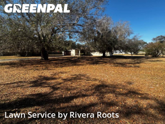 Lawn mowed in Kissimmee, 34746