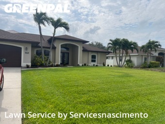 Grass Cut nearby Cape Coral, VA, 