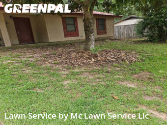 Lawn Maintenance nearby Pearl, MS, 