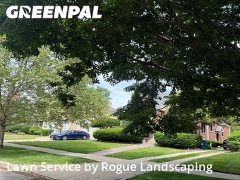 Lawn Cut nearby Oak Park, IL, 