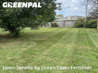 Yard Mowing nearby Springfield, MO, 
