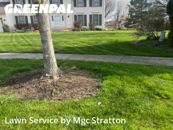 Grass Cutting nearby Twinsburg, OH, 