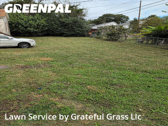 Grass Cutting nearby Greenville, SC, 