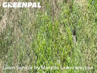 Lawn Care nearby Hampton, VA, 