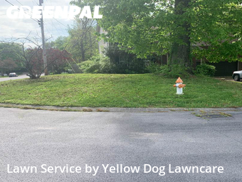 Yard Mowing nearby Nashville, TN, 