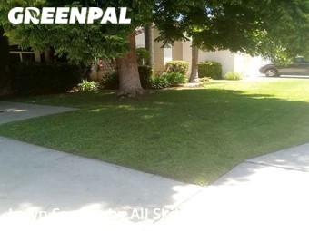 Lawn Cut nearby Fresno, CA, 
