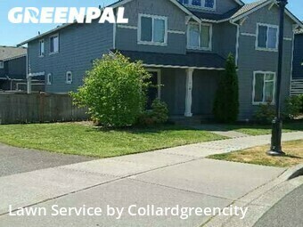 Grass Cut nearby Lacey, WA, 