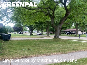 Grass Cutting nearby Sterling Heights, MI, 