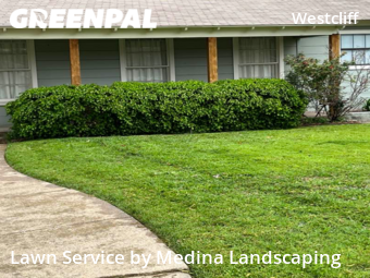 Grass Cut nearby Fort Worth, TX, 