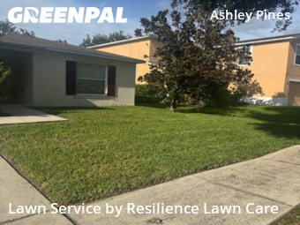 Lawn Cutting nearby Wesley Chapel, FL, 