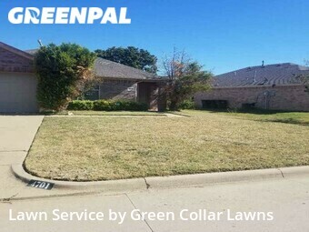 Lawn Cut nearby Fort Worth, TX, 
