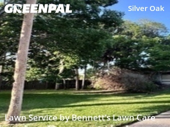 Yard Cutting nearby Port Orange, FL, 