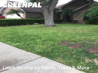 Lawn Service nearby Mc Allen, TX, 