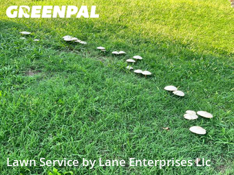 Lawn Care Service nearby Springfield, MO, 