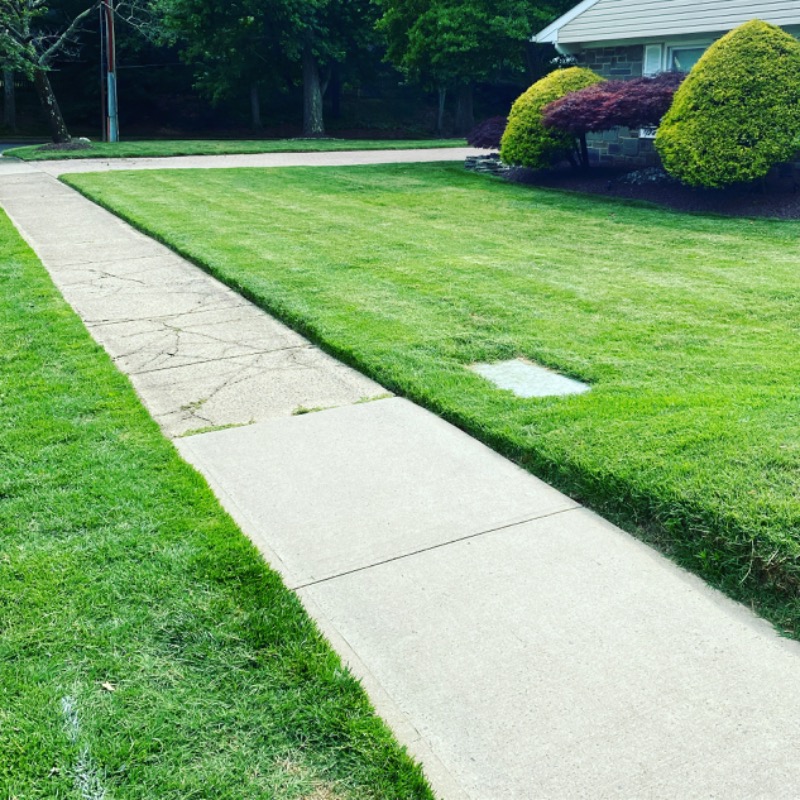 local-lawn-cutting-services-in-Trenton-NJ