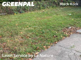 Grass Cut nearby Bridgeport, CT, 