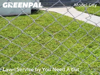 Lawn Cutting nearby Miami, FL, 