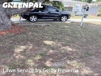 Grass Cut nearby St. Petersburg, FL, 