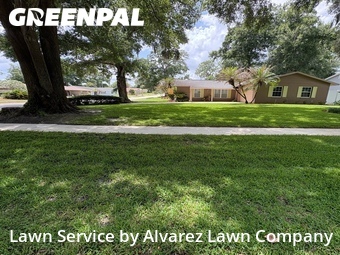 Lawn Cuttingin Altamonte Springs,32714,Yard Cutting by Alvarez Lawn Company, work completed in Jun , 2026