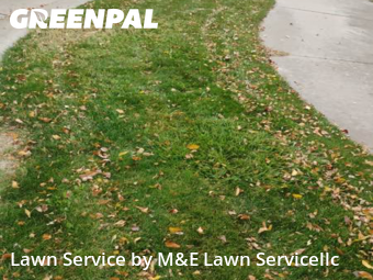 Grass Cuttingin Commerce City,80022,Lawn Mowing by M&E Lawn Servicellc, work completed in Oct , 2025