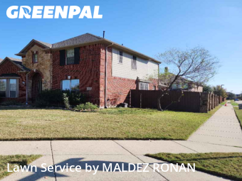 Lawn Management in Allen, 75013, Yard Care by MALDEZ RONAN, work completed in Dec , 2025