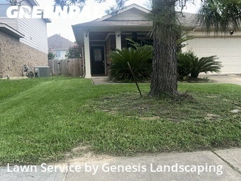 Lawn Cut nearby Spring, TX, 