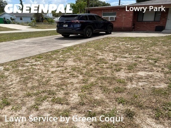 Grass Cut nearby Tampa, FL, 