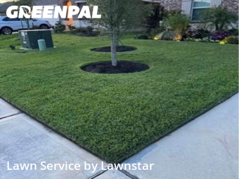 Backyard Landscaping In Amarillo,79121,Landscaping Renovation by Lawnstar , work completed in Oct , 2025
