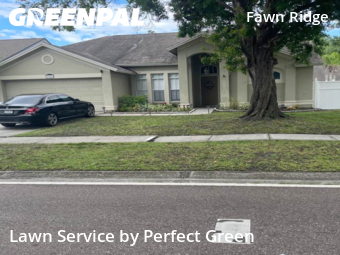 Grass Cutting nearby Tampa, FL, 