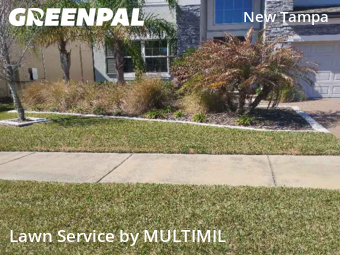 Lawn mowed in Tampa, 33647