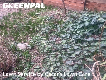 Lawn Cutting nearby Yakima, WA, 