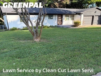 Lawn Mow nearby Farmersville, TX, 