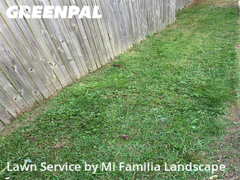 Grass Cut nearby Norfolk, VA, 